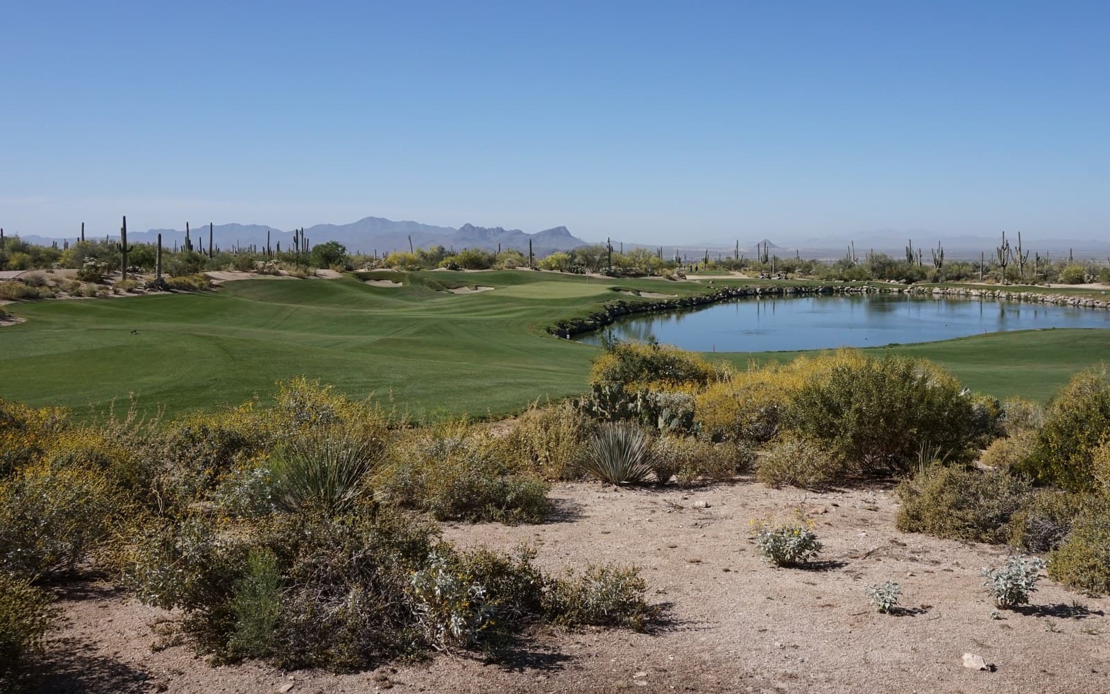 Dove Mountain desert landscape and golf course in Marana