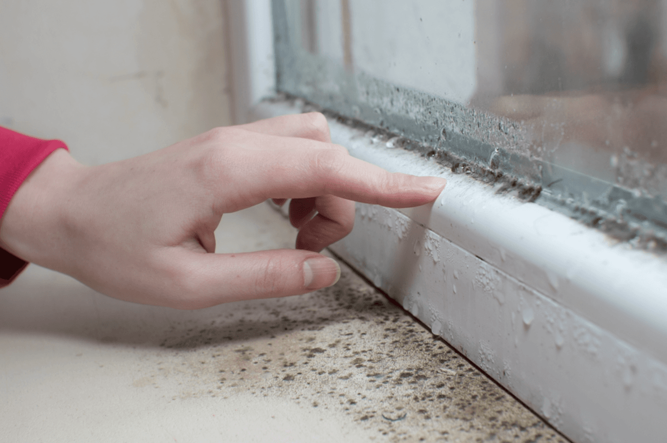 Don't hire a mold remediation company to inspect your home—that's a conflict of interest. Learn why choosing an unbiased, InterNACHI® certified inspector provides the trusted expertise you need to protect your health and avoid unnecessary expenses.