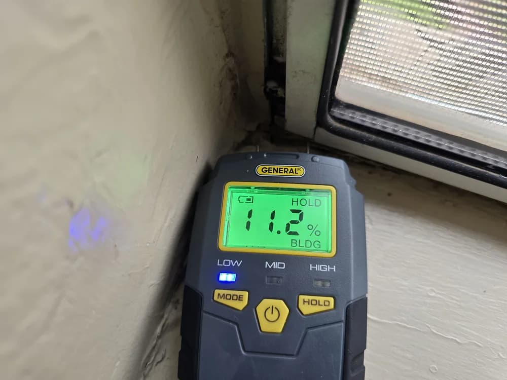 Moisture investigation