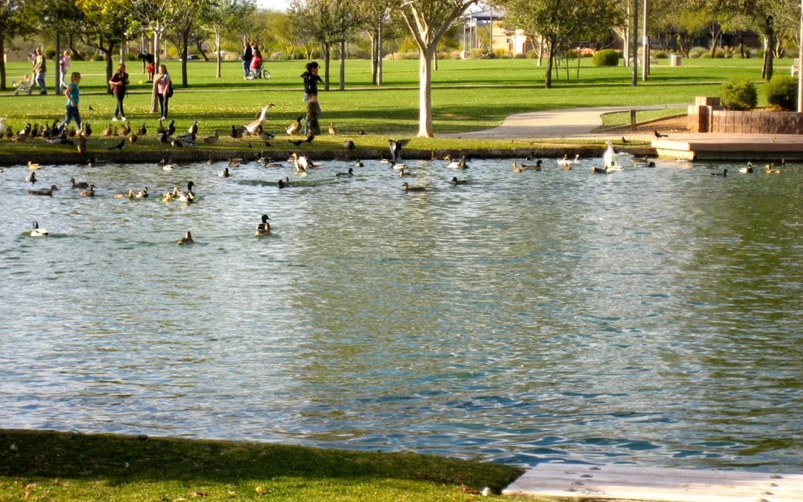 Lake and green space at Anthem Community Park