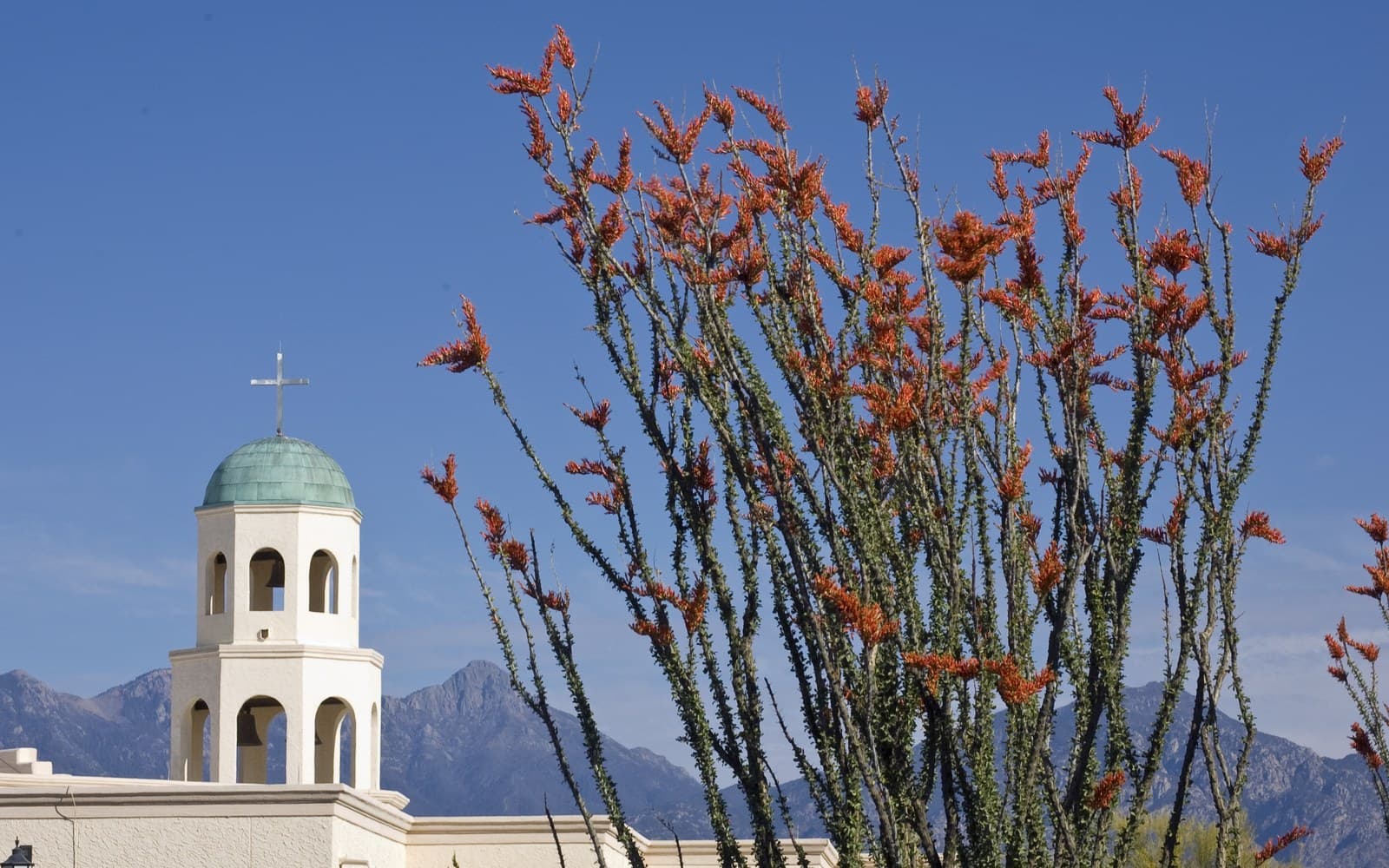 Ocotillos, a Green Valley church tower, and the Santa Rita Mountains