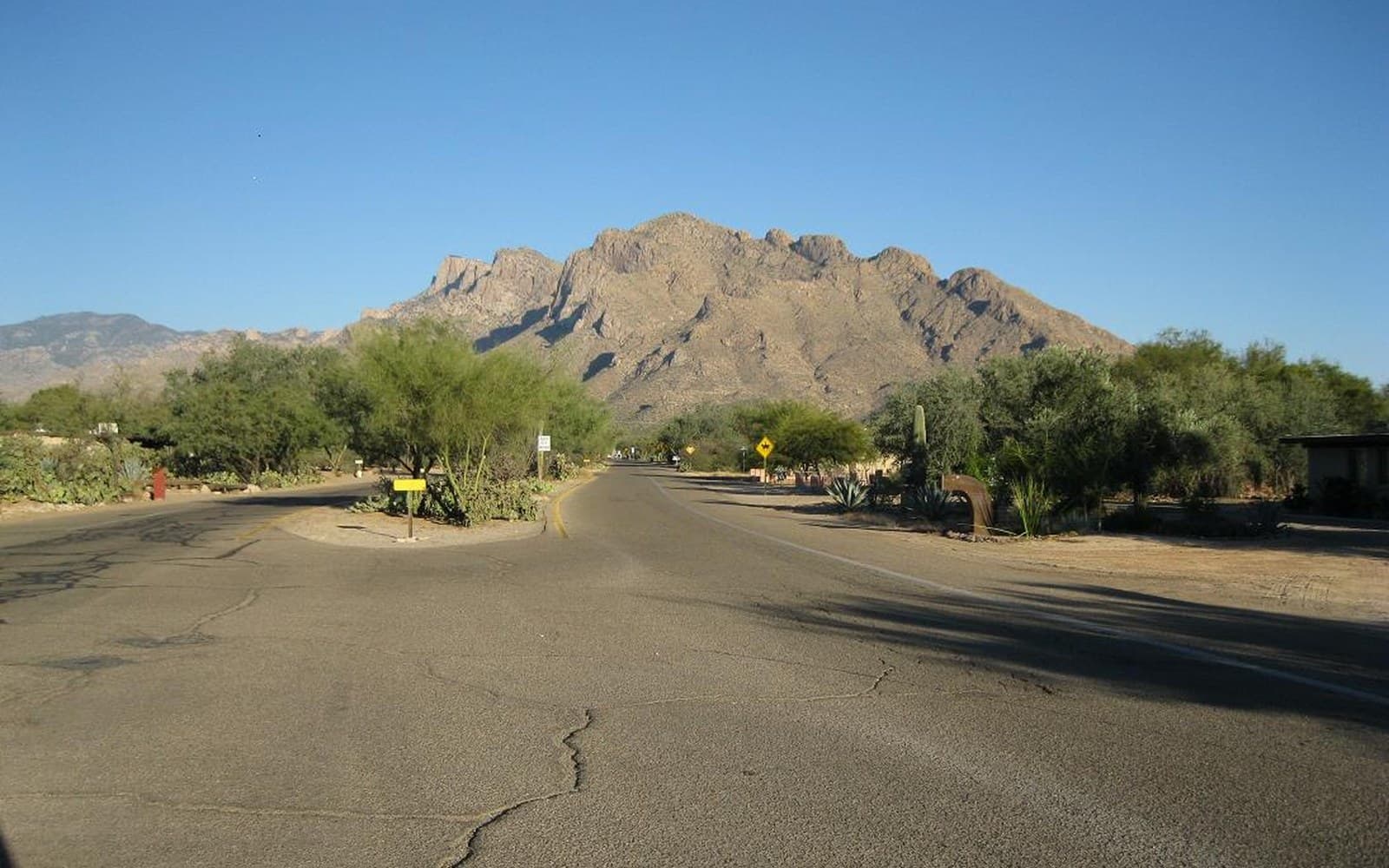 Pusch Ridge above a residential street in Oro Valley